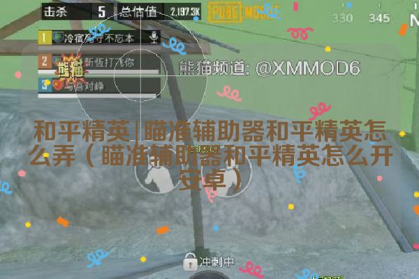 瞄准辅助器和平精英怎么弄（瞄准辅助器和平精英怎么开安卓）