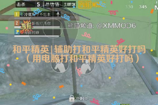 辅助打和平精英好打吗（用电脑打和平精英好打吗）