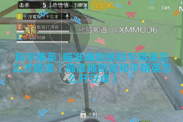 瞄准辅助器和平精英怎么才能准（瞄准辅助器和平精英怎么开安卓）