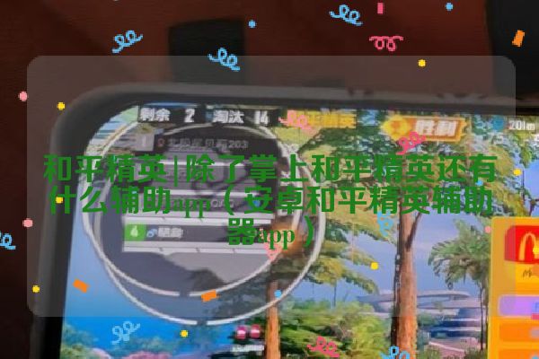 除了掌上和平精英还有什么辅助app（安卓和平精英辅助器app）